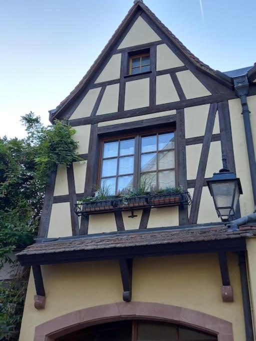 S'Gleina Gleck, In The Heart Of A Wine City, Charmant Studio 1 Piece Et 1 Salle De Bain Kaysersberg-Vignoble Exteriör bild