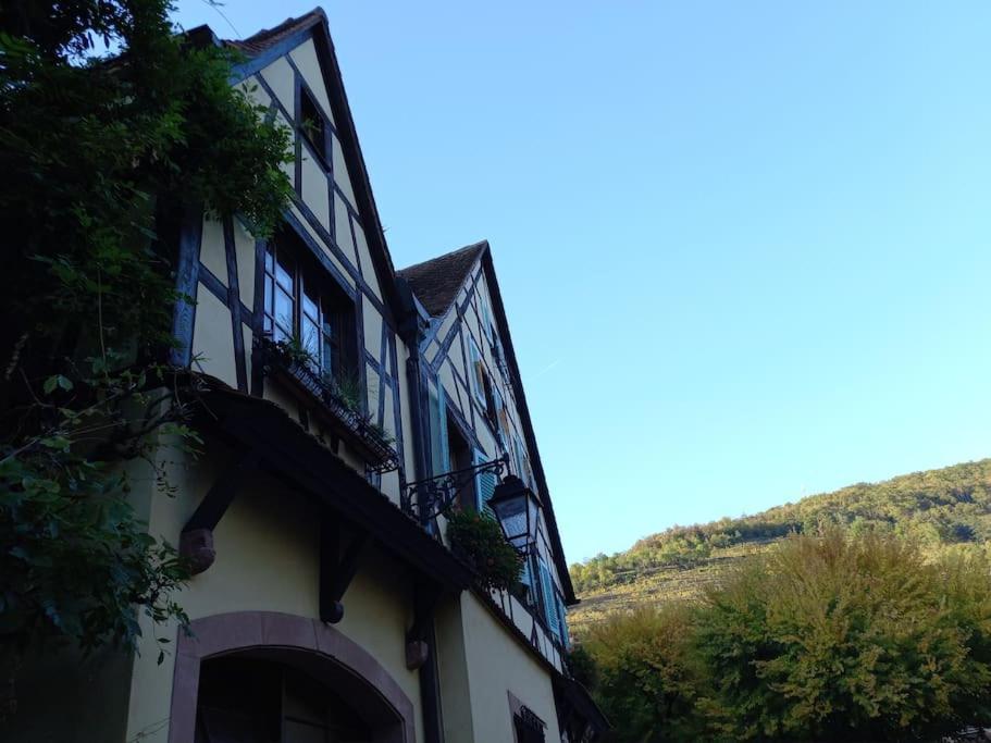 S'Gleina Gleck, In The Heart Of A Wine City, Charmant Studio 1 Piece Et 1 Salle De Bain Kaysersberg-Vignoble Exteriör bild