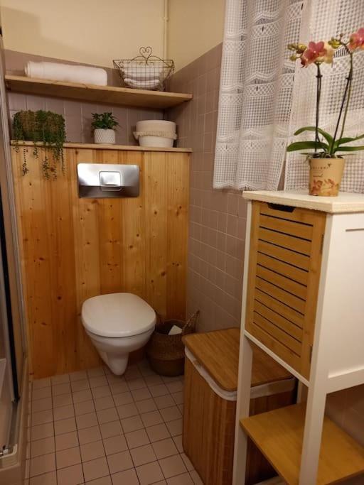 S'Gleina Gleck, In The Heart Of A Wine City, Charmant Studio 1 Piece Et 1 Salle De Bain Kaysersberg-Vignoble Exteriör bild