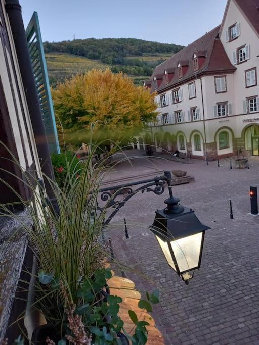 S'Gleina Gleck, In The Heart Of A Wine City, Charmant Studio 1 Piece Et 1 Salle De Bain Kaysersberg-Vignoble Exteriör bild