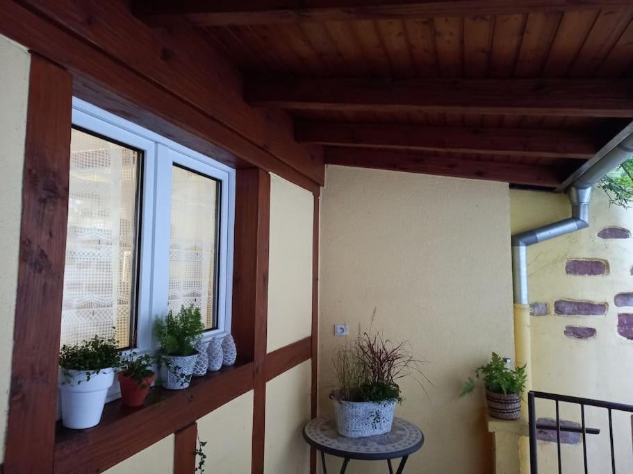 S'Gleina Gleck, In The Heart Of A Wine City, Charmant Studio 1 Piece Et 1 Salle De Bain Kaysersberg-Vignoble Exteriör bild