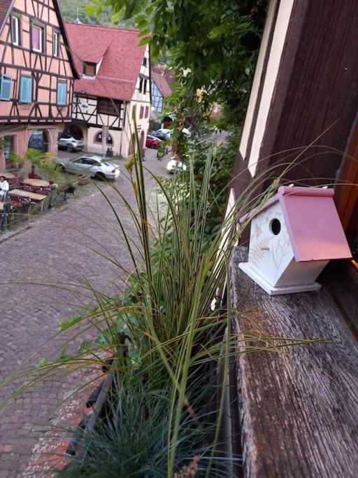 S'Gleina Gleck, In The Heart Of A Wine City, Charmant Studio 1 Piece Et 1 Salle De Bain Kaysersberg-Vignoble Exteriör bild