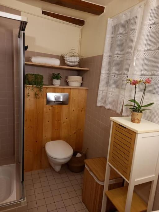 S'Gleina Gleck, In The Heart Of A Wine City, Charmant Studio 1 Piece Et 1 Salle De Bain Kaysersberg-Vignoble Exteriör bild
