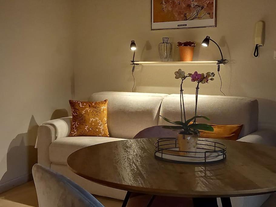 S'Gleina Gleck, In The Heart Of A Wine City, Charmant Studio 1 Piece Et 1 Salle De Bain Kaysersberg-Vignoble Exteriör bild
