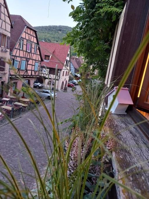 S'Gleina Gleck, In The Heart Of A Wine City, Charmant Studio 1 Piece Et 1 Salle De Bain Kaysersberg-Vignoble Exteriör bild